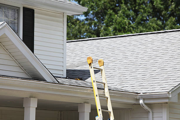 Storm Damage Siding Repair in Elkader, IA